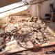 Image for article titled I Bought The Crappiest Jeep On Earth. Cleaning Its Interior Was Horrifying